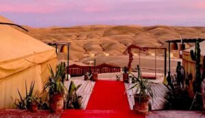 Dinner and show at Agafay desert